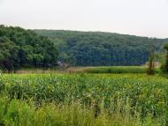 Всесвятське з panoramio.com