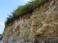 Примощаниця з panoramio.com