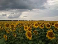 Халявин з panoramio.com