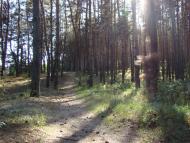 Куліші - Останні фото