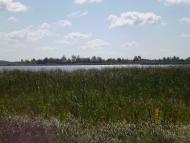 Красносілка з panoramio.com