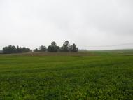 Панасівка з panoramio.com