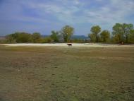 Дачное - Последние фото