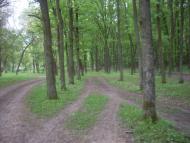 Ямпіль з panoramio.com