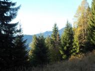 Гута з panoramio.com