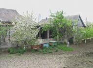 Петрівка з panoramio.com