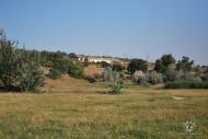 Лиманське з panoramio.com
