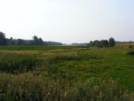 Примощаниця з panoramio.com