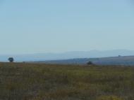 Нагірне - Останні фото