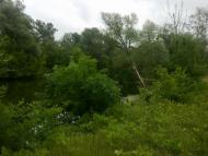 Букине з panoramio.com - Букине