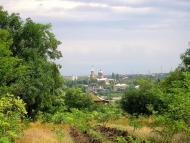 Старокозаче з panoramio.com