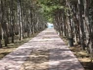 Веселівка з panoramio.com