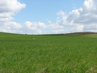 Підбірці з panoramio.com