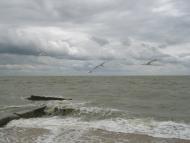 Сєдове з panoramio.com