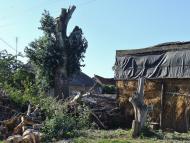 Толстой з panoramio.com