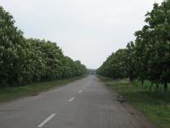 Роздольне - Останні фото