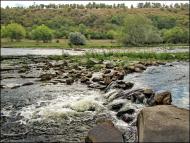 Салькове з panoramio.com