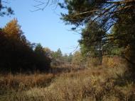 Новобахмутівка з panoramio.com - Новобахмутовка