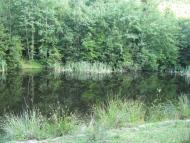 Гута з panoramio.com