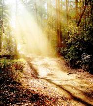 Коженики з panoramio.com