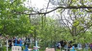 Петрівка з panoramio.com