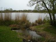 Володимирівка з panoramio.com