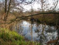 Троянівка з panoramio.com