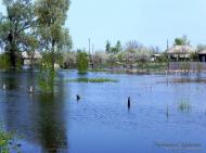 Неданчичі з panoramio.com