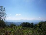 Липовець з panoramio.com