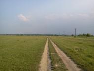 Гірка Полонка з panoramio.com