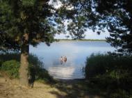 Дубечне з panoramio.com