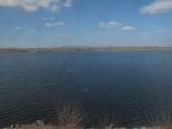 Плавні з panoramio.com