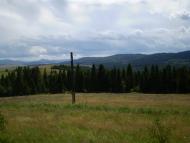 Ужок з panoramio.com