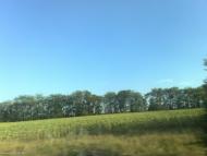 Підгірне з panoramio.com