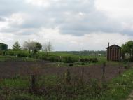 Волиця з panoramio.com