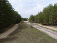 Малинове з panoramio.com