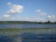 Крутогорб - Останні фото