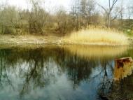 Лисичанський з panoramio.com