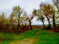 Поправка з panoramio.com