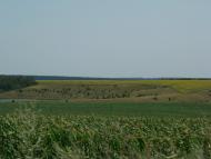 Коханівка - Останні фото