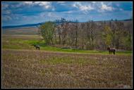 Великі Сади з panoramio.com