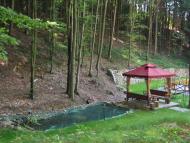 Тур'я Пасіка з panoramio.com