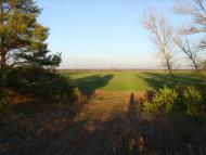 Шульгівка з panoramio.com