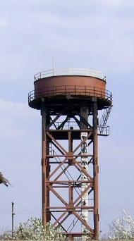 Кудрявцівка - Останні фото