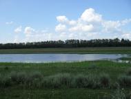 Луково - Последние фото