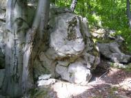 Видра з panoramio.com