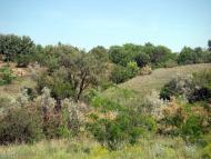 Mayachka - Latest photos