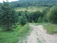 Лумшори з panoramio.com