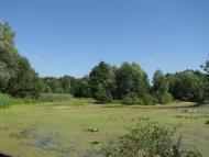 Лютенські Будища з panoramio.com