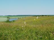 Сніжки - Останні фото